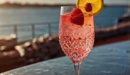 vressyntages-Gordons Pink Spritz