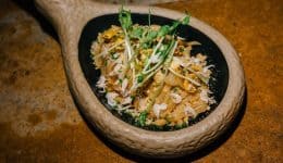 vressyntages-Rice noodles, shrimp, bean sprouts and egg (Pad Thai)