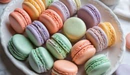 vressyntages-macaron