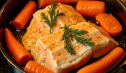 vressyntagesSalmon with dill sauce